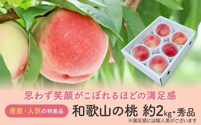 定期便全3回 【7月・8月・9月発送】 和歌山の夏のフルーツをお届け（桃・梨・たねなしピオーネ）【TM179】 303446_XH92236