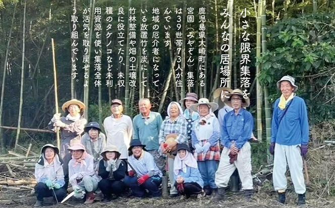 鹿児島県大崎町産味付けメンマ「チクリンからの贈りもの」 464686_DS001