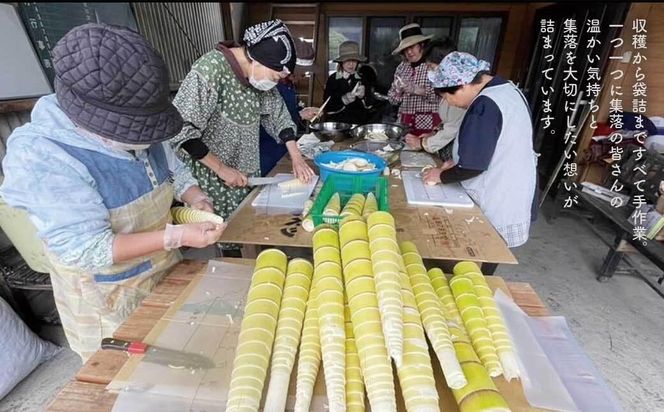 鹿児島県大崎町産味付けメンマ「チクリンからの贈りもの」 464686_DS001