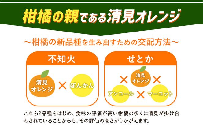 とにかくジューシー 清見 オレンジ 5kg 株式会社魚鶴商店《2025年3月上旬-4月上旬頃より出荷予定》和歌山県 日高町 柑橘 果物 フルーツ 清見オレンジ---wsh_uot32_ad34_24_14000_5kg---