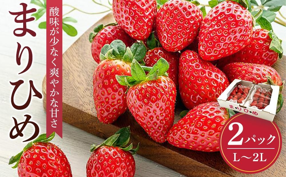 まりひめイチゴ L〜2L 12粒〜15粒×2パック[2026年1月中旬から発送][先行販売][KG7] 303446_XM90007