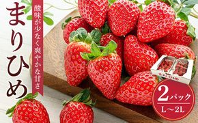 まりひめイチゴ L～２L 12粒～15粒×2パック［2026年1月中旬から発送］［先行販売］［KG7］ 303446_XM90007