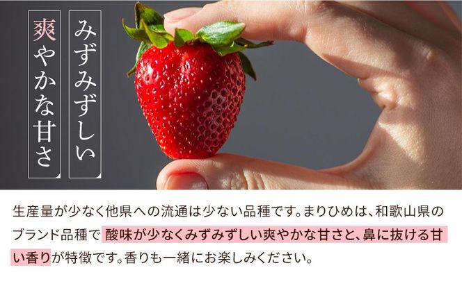 まりひめイチゴ L～２L 12粒～15粒×2パック【2025年1月初旬から発送】【先行販売】【KG7】 303446_XM90007