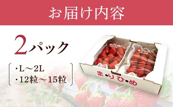 まりひめイチゴ L～２L 12粒～15粒×2パック［2026年1月中旬から発送］［先行販売］［KG7］ 303446_XM90007