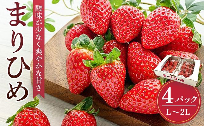 ya̎R쒬z܂Ђ߃C`S L`QL 12`15×4pbNm2026N1{甭nms̔nmKG8n 303446_XM90008