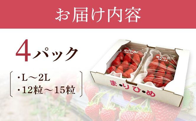 まりひめイチゴ L～２L 12粒～15粒×4パック【2025年1月初旬から発送】【先行販売】【KG8】 303446_XM90008