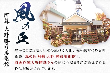 大野勝彦 短冊額『あなたに出会ったのは正解でした』フクロウ 風の丘阿蘇大野勝彦美術館《60日以内に出荷予定(土日祝を除く)》美術館 詩---sms_okmtzg2_60d_21_179000_1p---