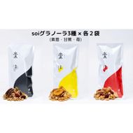 soi グラノーラ３種×各２袋（素意・甘蕉・苺） 232238_PP55