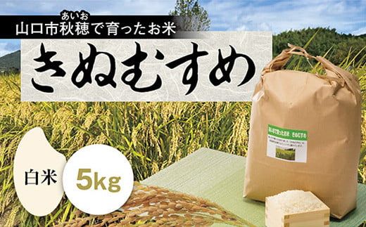 D193 あいお（秋穂）で育ったお米 きぬむすめ 白米 5kg