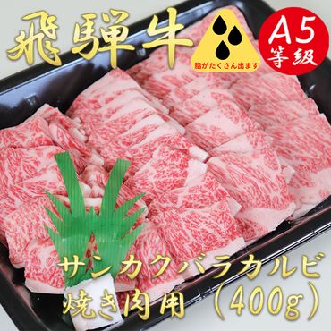 AB-40 A5飛騨牛サンカクバラカルビ焼き肉用400g