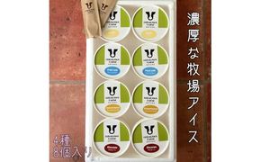 【北海道産搾りたて生乳使用】ひらかわ牧場のアイスクリーム 大人気の4種8個セット フレッシュミルク バニラ チョコ キャラメルクランチ デザート スイーツ お取り寄せ ギフト せたな町 ふるさと納税