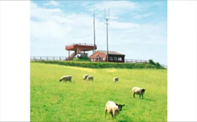 北海道産 標茶 羊肉のデミボロネーゼソース　4食セット 016641_AT009