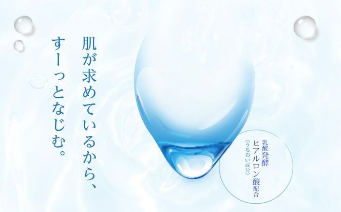 ロート製薬【肌ラボ 極潤】化粧水＋乳液4点セット（各ボトル＋つめかえ用） 242161_EJ001