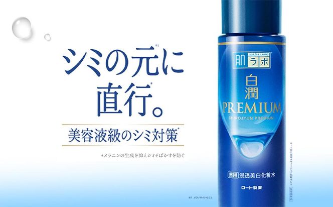 ロート製薬【肌ラボ 白潤プレミアムしっとりタイプ】化粧水＋乳液4点セット（各ボトル＋つめかえ用） 242161_EJ002