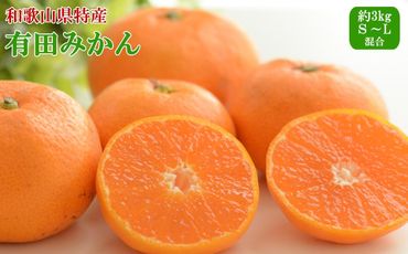 [秀品]和歌山有田みかん約3kg(S〜Lサイズ混合)★2024年11月中旬頃より順次発送[TM96] 303446_XH92243