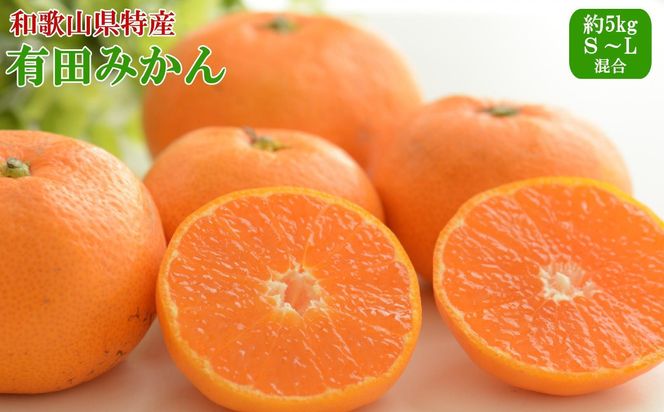 [秀品]和歌山有田みかん約5kg（S～Lサイズ混合）★2024年11月中旬頃より順次発送【TM95】 303446_XH92244