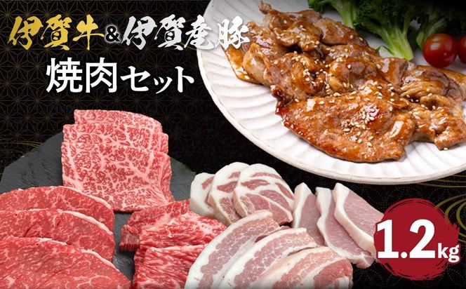 yOdɉszɉꋍɉY ēZbg 1.2kg 242161_AZ005