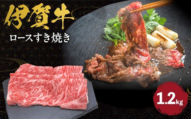 yOdɉszɉꋍ [XĂ 1.2kg 242161_AZ041