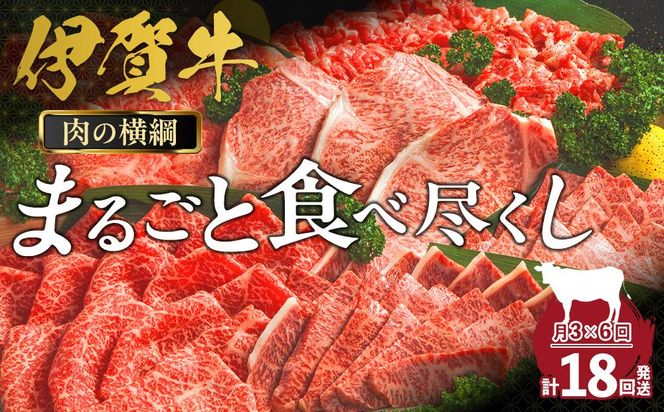 【月3×6回　計18回発送】肉の横綱　伊賀牛まるごと食べ尽くし 242161_AZ062