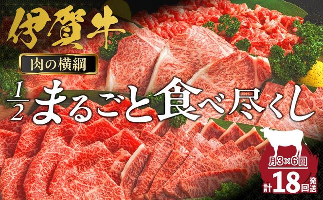 【月3×6回　計18回発送】肉の横綱　伊賀牛１/2まるごと食べ尽くし 242161_AZ064