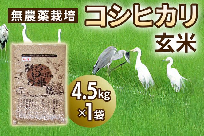無農薬栽培 コシヒカリ 玄米 4.5kg 【令和5年度米】 [0346]