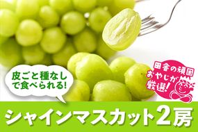 田舎の頑固おやじが厳選！シャインマスカット2房【令和6年8月から順次お届け】 [BI55-NT]