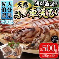 漁師直送! 天然活〆車えび (計500g・250g×2P) 大分県産 【EJ01】【萬漁丸】