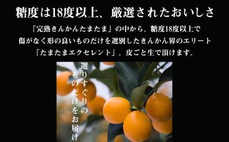 《2025年発送先行予約》【期間・数量限定】完熟きんかん たまたまエクセレント 1kg_M056-012