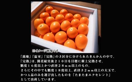 《2025年発送先行予約》【期間・数量限定】完熟きんかん たまたまエクセレント 1kg_M056-012