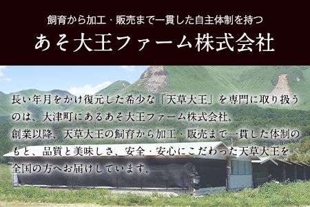 天草大王　贅沢1羽セット《60日以内に出荷予定(土日祝除く)》約1.5kg【幻の地鶏】もも・むね・ささみ 各2枚 熊本県産 あそ大王ファーム株式会社---so_faso1wa_60d_r7_17500_1500g---