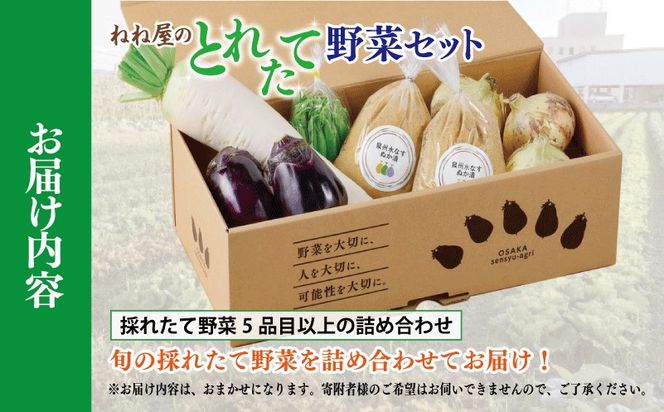 099H2857 ねね屋のとれたて野菜セット 5品目以上 詰め合わせ
