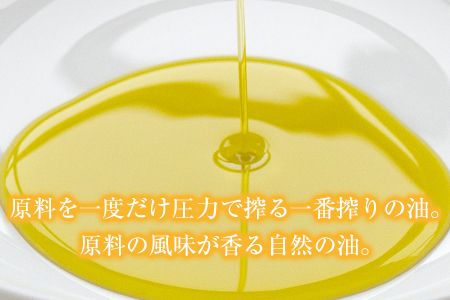 「堀内製油」の地あぶら（なたね油） 1650g×6本セット 熊本県氷川町産《60日以内に順次出荷(土日祝を除く)》---sh_horiuchioil_60d_22_57000_6p---
