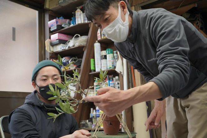 オリーブの盆栽教室 体験チケット [秋山園 山梨県 韮崎市 20742994] チケット 体験 手作り 盆栽 オリーブ 観葉植物 インテリア 癒やし 緑