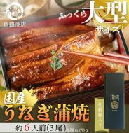 大型サイズ　ふっくら柔らか　国産うなぎ蒲焼き　3尾　化粧箱入【土用の丑の日のうなぎ】【2025年2月1日までにお届け】【UT06】 303446_XF91090-GFT