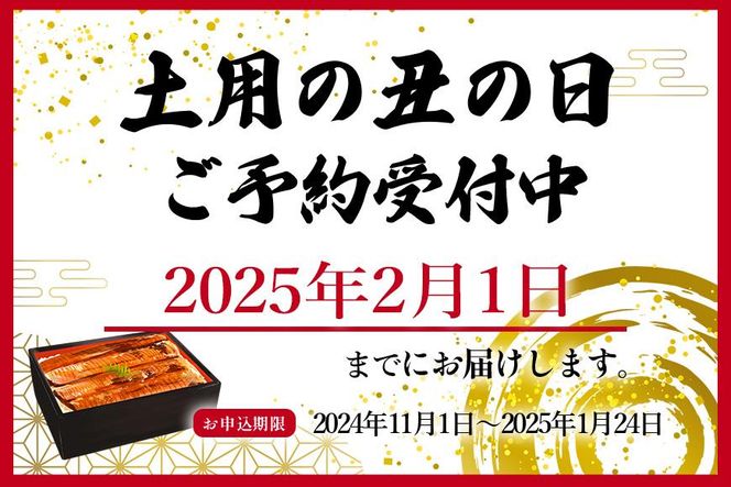 大型サイズ　ふっくら柔らか　国産うなぎ蒲焼き　3尾　化粧箱入【土用の丑の日のうなぎ】【2025年2月1日までにお届け】【UT06】 303446_XF91090-GFT