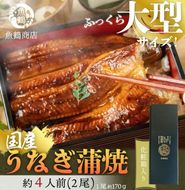 大型サイズ　ふっくら柔らか　国産うなぎ蒲焼き　2尾　化粧箱入【土用の丑の日のうなぎ】【2025年2月1日までにお届け】【UT05】 303446_XF91091-GFT