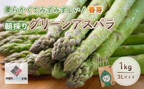 [先行受付]2025年産 柔らかくてみずみずしい朝取りグリーンアスパラ(春芽)3L 1kg【配送不可地域：離島】 BHRG028