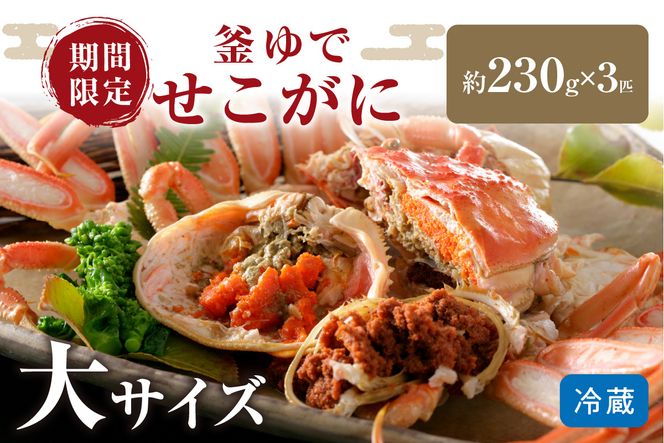 【11月発送】先行予約！山陰日本海冬の味覚　釜ゆでせこがに　食べ応えのある大サイズ3匹入り/北畿水産　HK00199