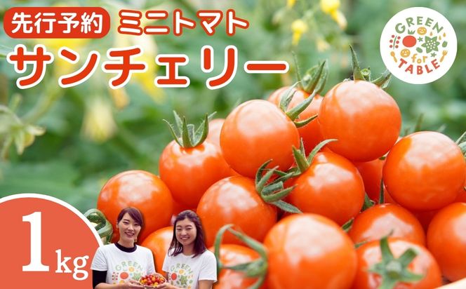 【 先行予約 】 ミニトマト サンチェリー 1kg 7月発送 トマト 新鮮 野菜 農家直送 1キロ 人気 おすすめ ギフト 贈答 プレゼント 福島県 田村市 田村 GREEN for TABLE N47-V6-01