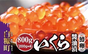 いくら醤油漬（鱒卵）【800g（200g×2パック×2箱）】