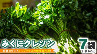 【 先行予約 】 みくにクレソン100ｇ×7袋 美容 健康 野菜 スーパーフード [CY002ci]