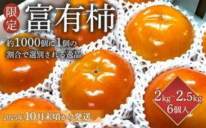 【限定】 富有柿 2kg～2.5kg 6個入 至高の逸品 約1000個に１個！【先行予約】【2025年10月末頃から発送】【KG5】 303446_XM90005