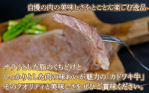 北海道 黒毛和牛 カドワキ牛 サーロイン ステーキ 3枚 200～220g/枚【冷蔵】 TYUAE005