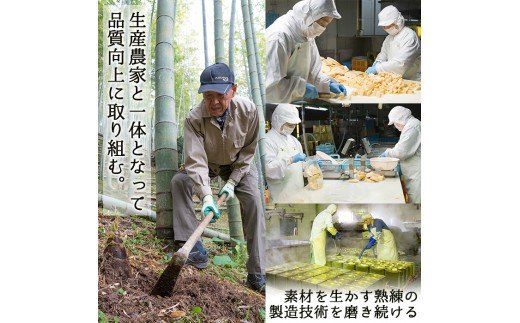 ＜先行予約受付中！2025年3月上旬以降順次発送予定＞お刺身たけのこ(計1kg) 国産 鹿児島県産 朝採れ タケノコ 竹の子 筍 真空パック 野菜 春 旬【上野食品】a-12-124-z