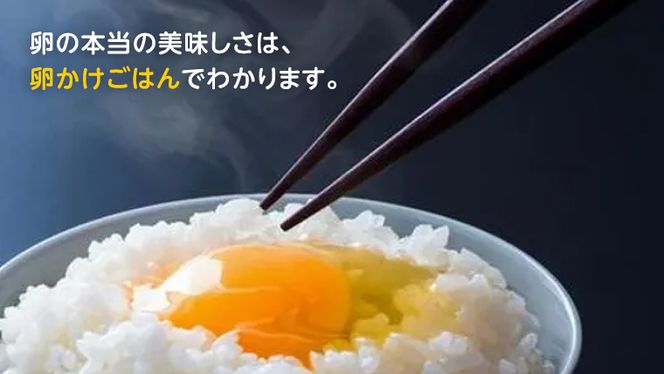 キトサン 健康 たまご 80個入 赤玉 卵 タマゴ 鶏卵 鶏 卵かけごはん ゆで卵 赤たまご 国産 茨城県 玉子 [EE001us]