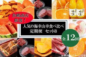 【魚鶴商店厳選！】人気の海幸山幸食べ比べ【定期便全12回】セットB【UT110】 303446_XF90002