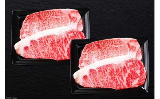 牛肉 宮崎牛 A4 A5 等級 ロースステーキ 200g×4 計800g [日本ハムマーケティング株式会社 宮崎サテライト 宮崎県 日向市 452060701] 小分け 冷凍 肉 牛 ステーキ 宮崎
