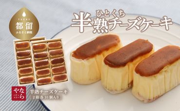 AP015　半熟チーズケーキ2箱（各10個入り）