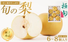 先行予約 旬の梨 極上 秀品（中玉～大玉）6～8個入り ［2026年8月下旬頃～9月下旬頃発送］［KG23］ 303446_XM90023