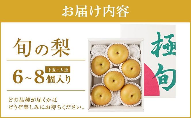 先行予約 旬の梨 極上 秀品（中玉～大玉）6～8個入り 【2025年8月末頃～9月中旬頃発送】【KG23】 303446_XM90023